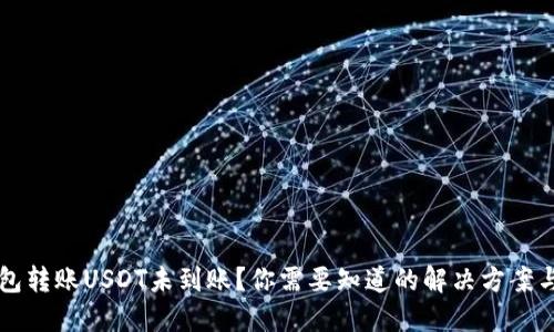 货币钱包转账USDT未到账？你需要知道的解决方案与小贴士