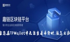 当您在TPWallet中无法查看币