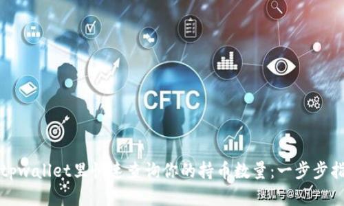 在tpwallet里快速查询你的持币数量：一步步指南