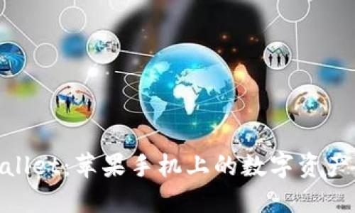和关键词

: 探索TPWallet：苹果手机上的数字资产管理新选择