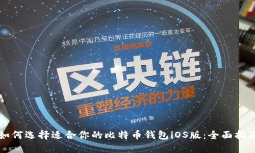 如何选择适合你的比特币钱包iOS版：全面指南