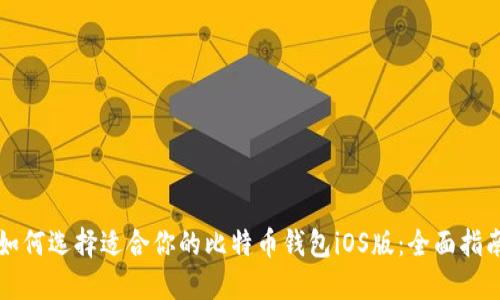 如何选择适合你的比特币钱包iOS版：全面指南