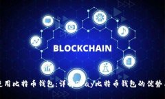 如何安全使用比特币钱包：详解Pray比特币钱包的