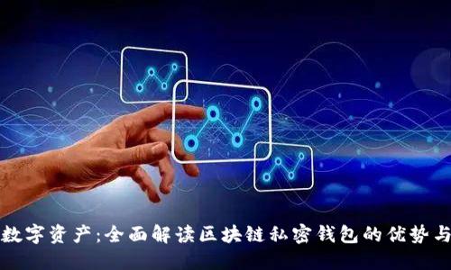 保护你的数字资产：全面解读区块链私密钱包的优势与使用技巧