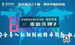 如何安全导入私钥到比特币钱包：权威指南