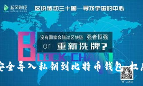 如何安全导入私钥到比特币钱包：权威指南