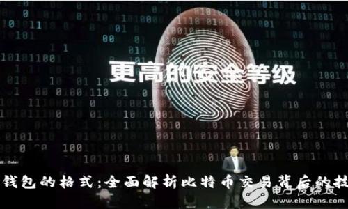 比特币钱包的格式：全面解析比特币交易背后的技术结构