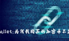 解密TPWallet：为何我购买的加密币不显示余额？
