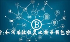  彻底解密：如何有效恢复比特币钱包密码与私钥