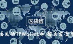 如何找回丢失的TPWallet币：解决方案与实用技巧