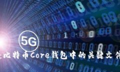 深入探析：比特币Core钱包中的关键文件及其功能
