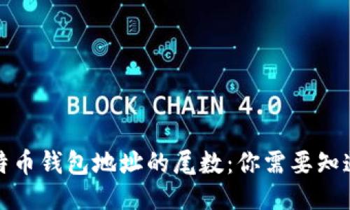 揭秘比特币钱包地址的尾数：你需要知道的一切