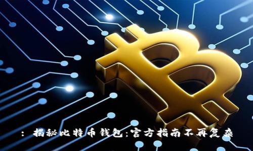 : 揭秘比特币钱包：官方指南不再复杂