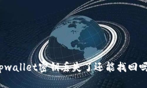 tpwallet密钥丢失了还能找回吗？