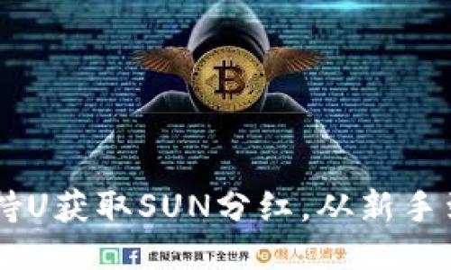 如何通过TPWallet持U获取SUN分红，从新手到高手的全方位指南