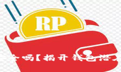 区块链OLO钱包安全吗？揭开钱包潜在风险与防范策略