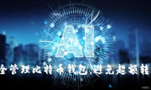 如何安全管理比特币钱包，避免超额转账风险？