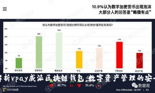 全面解析vpay威派区块链钱包：数字资产管理的安全之道