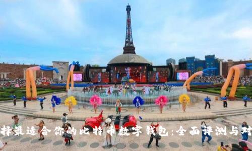 选择最适合你的比特币数字钱包：全面评测与对比