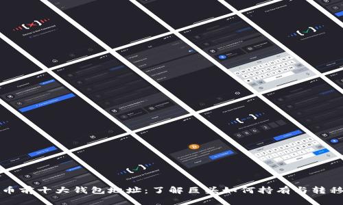 揭秘比特币前十大钱包地址：了解巨头如何持有与转移数字资产