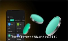 为什么保护你的比特币钱包.dat文件至关重要？