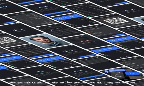 如何在U盘里安装比特币钱包：全面指南