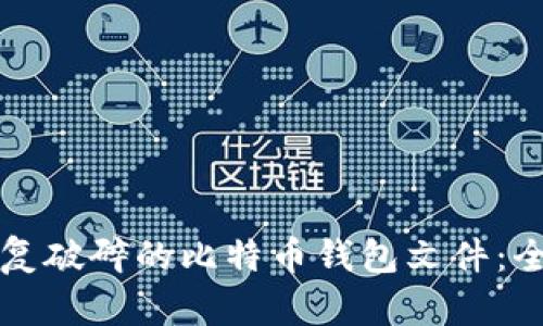 如何修复破碎的比特币钱包文件：全面指南