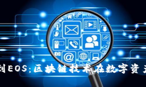 从比特币钱包到EOS：区块链技术在数字资产管理中的变革