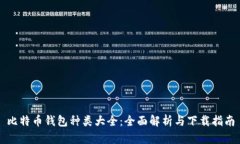 比特币钱包种类大全：全面解析与下载指南