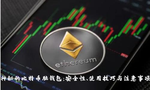 神秘的比特币脑钱包：安全性、使用技巧与注意事项