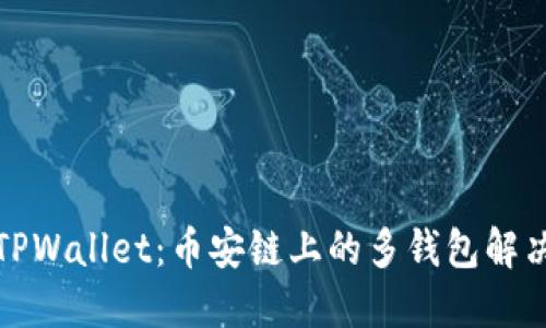 探索TPWallet：币安链上的多钱包解决方案