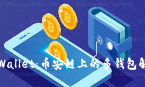 探索TPWallet：币安链上的多钱包解决方案