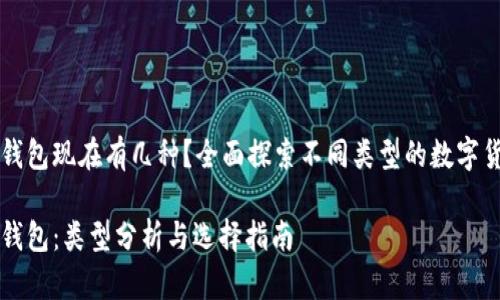 区块链钱包现在有几种？全面探索不同类型的数字货币钱包

区块链钱包：类型分析与选择指南
