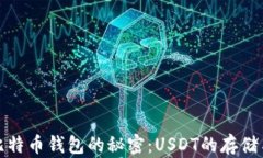 探寻比特币钱包的秘密：USDT的存储与管理