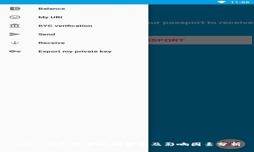 USDT钱包维护时间解析及影响因素分析