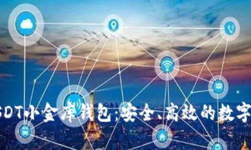 揭秘新加坡USDT小金库钱包：安全、高效的数字资产管理工具