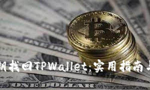 如何用私钥找回TPWallet：实用指南与步骤详解