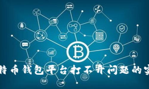 解决比特币钱包平台打不开问题的实用指南