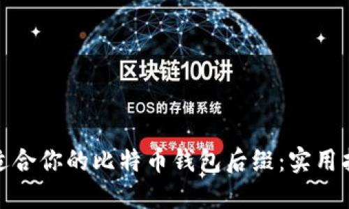 如何选择适合你的比特币钱包后缀：实用指南与建议