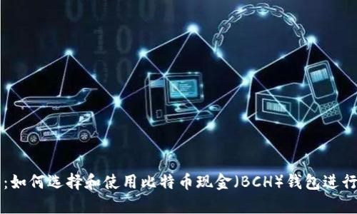 全面解析：如何选择和使用比特币现金（BCH）钱包进行安全交易