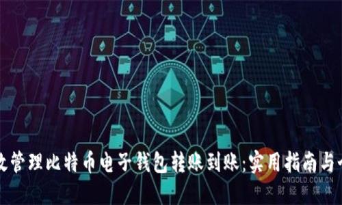 如何高效管理比特币电子钱包转账到账：实用指南与个人经历