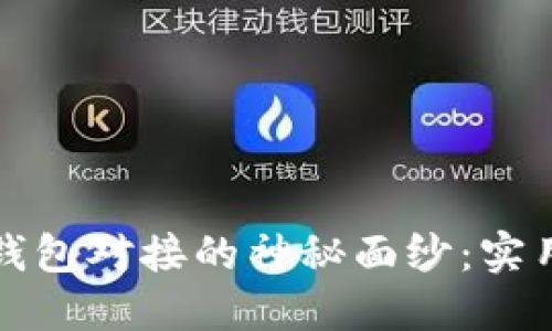 揭开比特币钱包对接的神秘面纱：实用指南与技巧