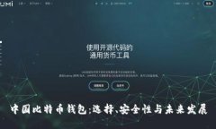 中国比特币钱包：选择、安全性与未来发展