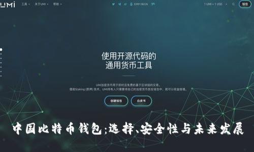 中国比特币钱包：选择、安全性与未来发展