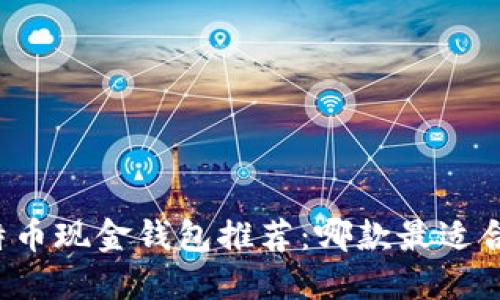 比特币现金钱包推荐：哪款最适合你？