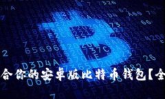 如何选择最适合你的安卓版比特币钱包？全面解