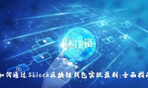 如何通过Sblock区块链钱包实现盈利：全面指南