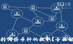   以太坊钱包支持哪些币种的提取？全面解析与实