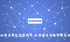 深入了解比特币钱包观察模式：如何安全高效管