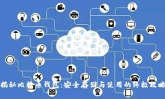 揭秘比特币钱包：安全存储与使用的终极攻略